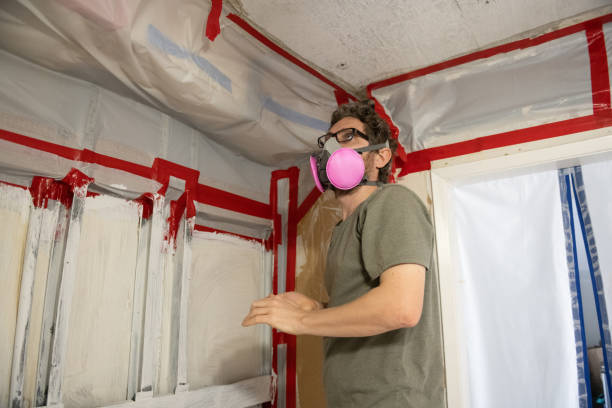 Trusted Lake Darby, OH Mold Inspection, Removal & Remediation Experts