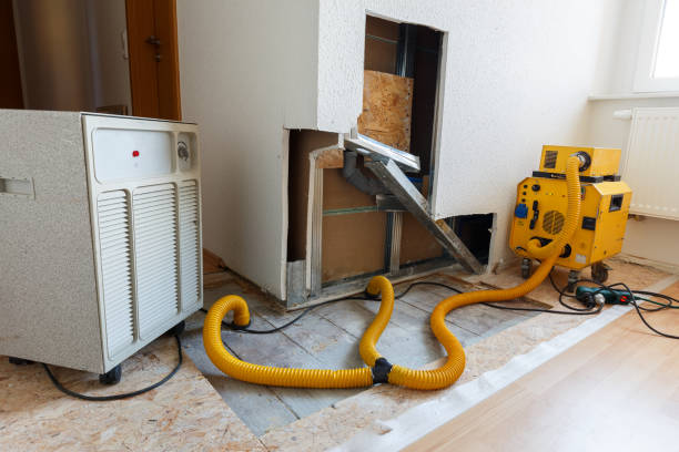 Best Black Mold Removal  in Lake Darby, OH